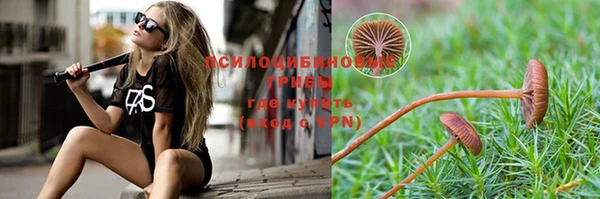 МДПВ Магас